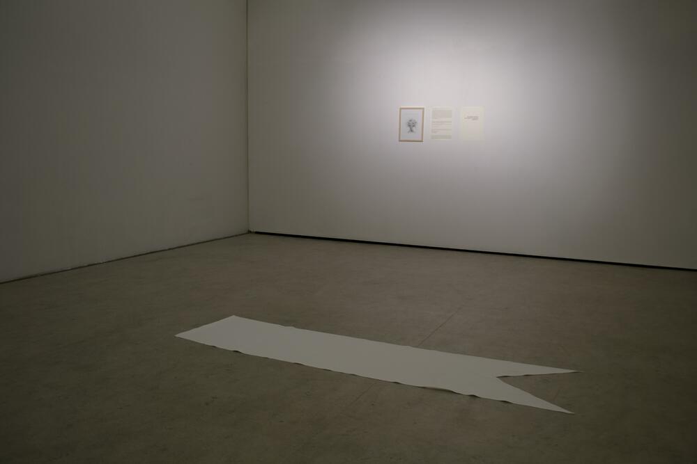 Image from page “The Gift”